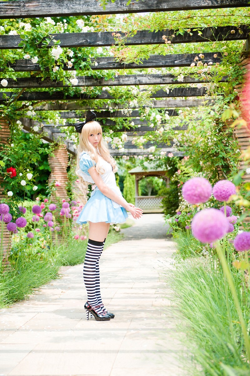 Cosplay C78 NECOCO.in.Wonderland